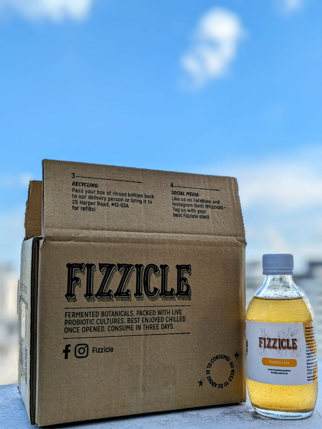 Fizzicle 6 Bottle Sample Pack
